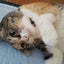 もっちゃんのサムネイル