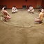 画像 新潟市相撲教室のユーザープロフィール画像