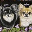 月月のサムネイル