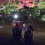 画像 賑やか５ワンコとお転婆娘モコののんびりLifeのユーザープロフィール画像