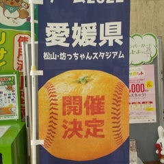 七瀬のプロフィール