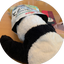 ボンバー胃腸のサムネイル