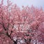 画像 桜花童の音楽日記のユーザープロフィール画像