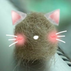 あんちゃんのプロフィール