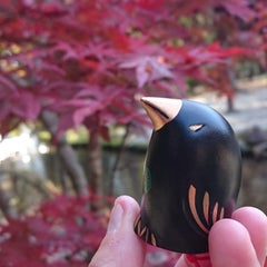 白楽のプロフィール
