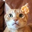 画像 チャーボとミーコ♡猫を愛するカードリーダーのユーザープロフィール画像