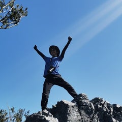 さかなおのプロフィール