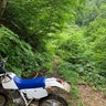 渓流山形のプロフィール