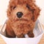 モモカの成長記録〜時々みーたんのサムネイル