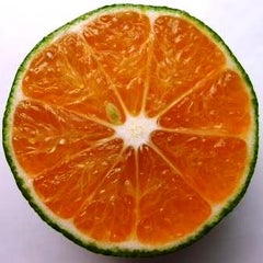 もものプロフィール
