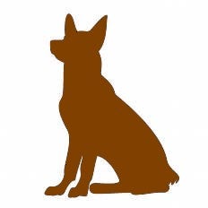 Npo法人日本アニマルセラピー協会 告発記事一覧 Npo法人日本アニマルセラピー協会さんに聞いてみたいこと