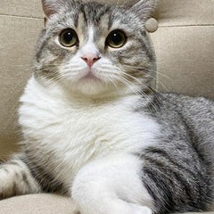 Makikoのプロフィール
