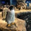 タロちゃんのサムネイル