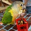 おかおのサムネイル