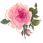 画像 薔薇のインテリア・エクステリア専門店～プリンシアローズ～オーナーブログのユーザープロフィール画像