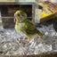 kkのサムネイル