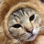 torichan-05のサムネイル