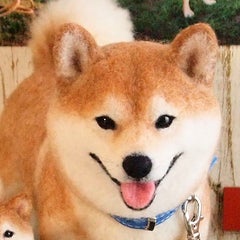 羊毛フェルト オーダー羊毛わんこ お品書き 写真準備 犬毛について たまらん 羊毛フェルトわんこの世界 ざくらや