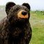 ホシ☆ガリスのサムネイル