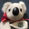 よこまるのプロフィール