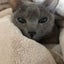 るりのサムネイル