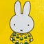 はなはなのサムネイル