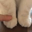 totoのサムネイル