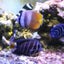 Keiのサムネイル