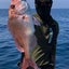 画像 釣れ釣れなるままに〜糸島釣り日記〜のユーザープロフィール画像