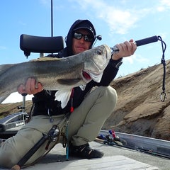 fishsatoのプロフィール