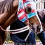 クルトは暇のサムネイル