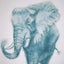 画像 　エレカシブログ　雄弁な象のユーザープロフィール画像