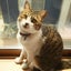 へるのサムネイル