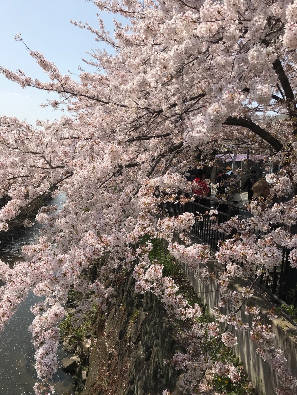 最近思うこと newdeal41の投資情報