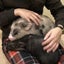 ほほにくのサムネイル