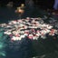 Lilyのサムネイル
