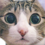 MAKO0MAKO0 / まこまこのサムネイル