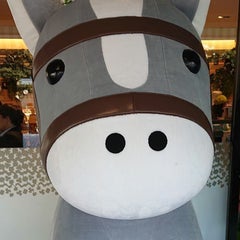 rikuのプロフィール
