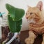 puruyaseのサムネイル