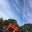 りんのサムネイル