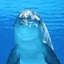 画像 dolphin-girl-youのブログ(統合失調症とトゥレットの日々)のユーザープロフィール画像