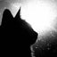 画像 黒猫はうすのブログのユーザープロフィール画像