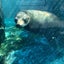 わんぱくの母のサムネイル