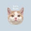 ri26croのサムネイル