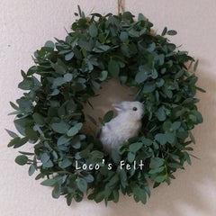 ロコのプロフィール