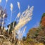 blue-sky-blue-moon-no8のサムネイル