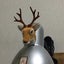 酒オヤジのサムネイル