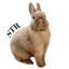 セイブザラビッツのサムネイル