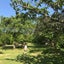hinaのサムネイル