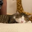 ぼんくれのサムネイル